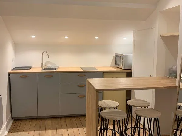 T1 30m2 rénové et tout équipé - Ainay