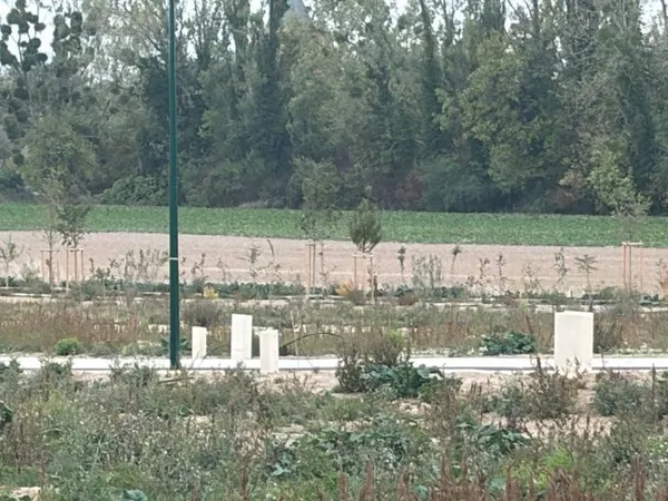 Terrain 779 m²