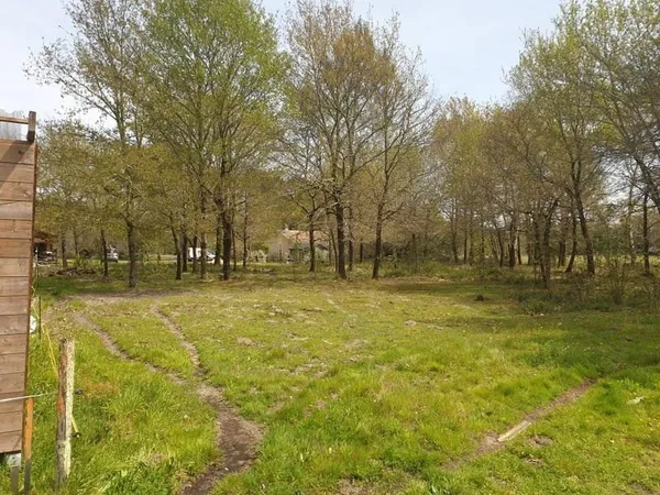 TERRAIN+MAISON NEUVE PISSOS