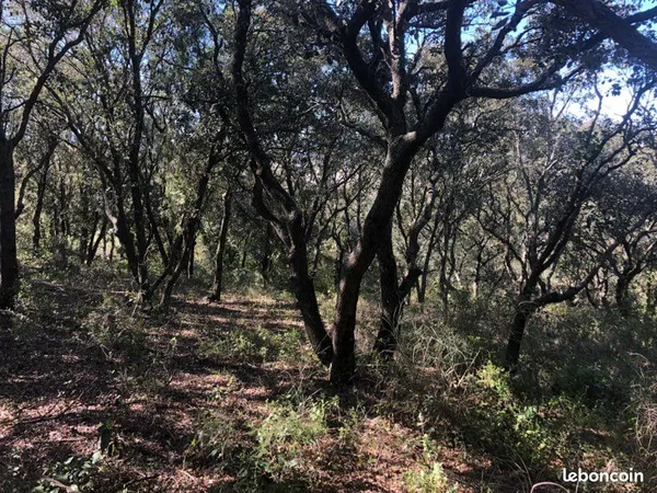 Vend terrain agricole saint pargoire
