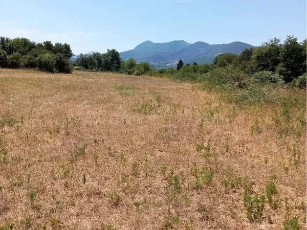 Terrain agricole 20 000 m² (2 hectares)