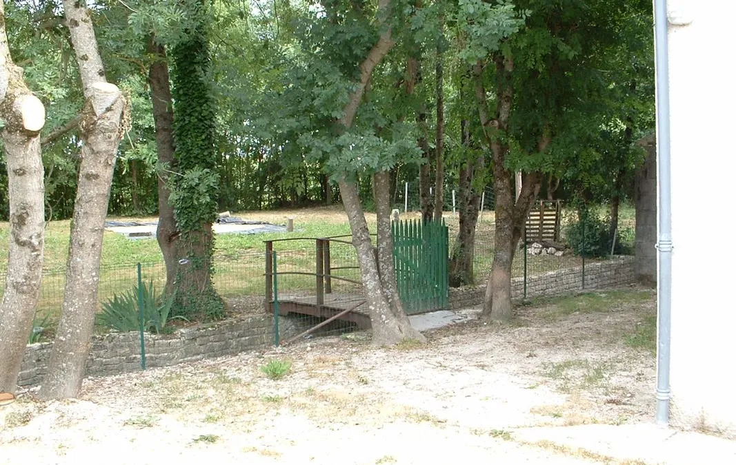 Photo 2