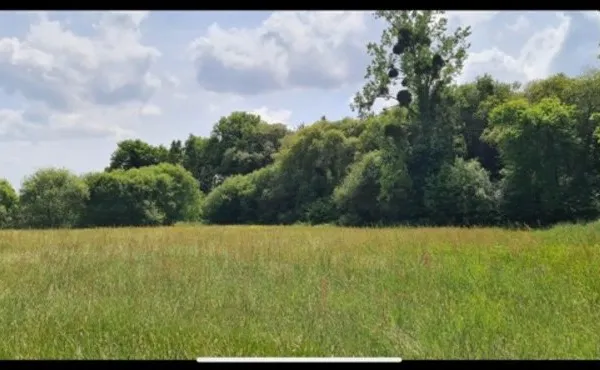 Terrain à vendre de 4 300,00 m² proche de DINAN (22)
