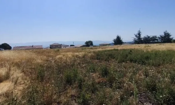Terrain 1001 m²