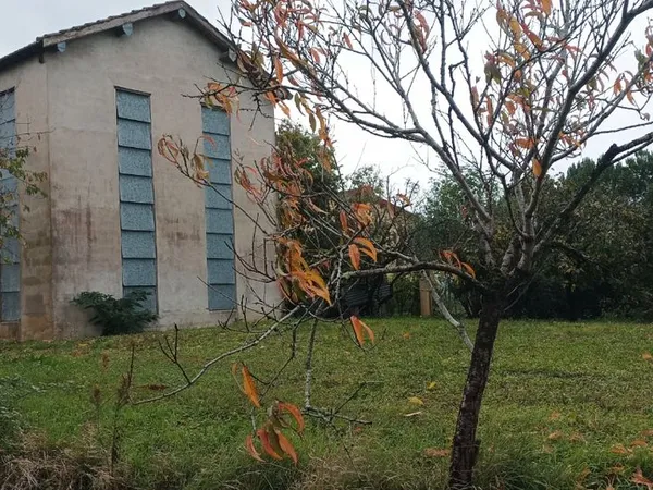 Ancien séchoir à tabac à réhabiliter à Calonges 47430