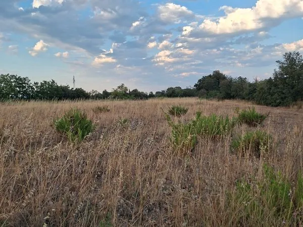 Terrain agricole ou loisir