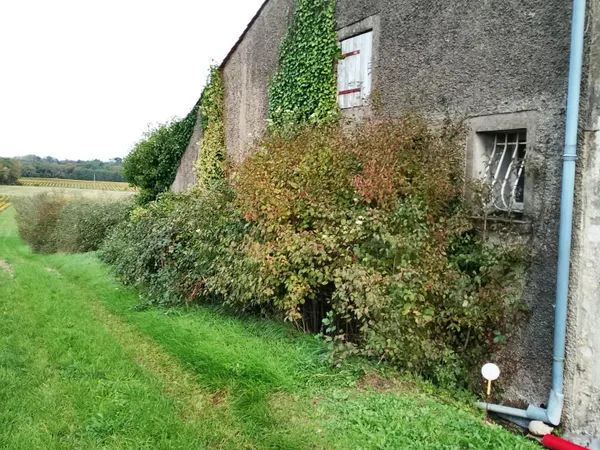 Grange d'envrion 140m²