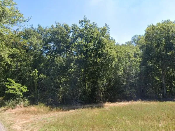 Parcelle de bois