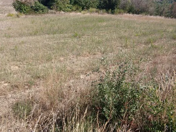 Terrain agricole