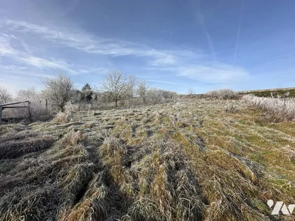 Terrain 1695 m²