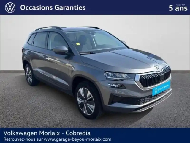Skoda Karoq 2.0 tdi 116ch scr business dsg7 — photo 3