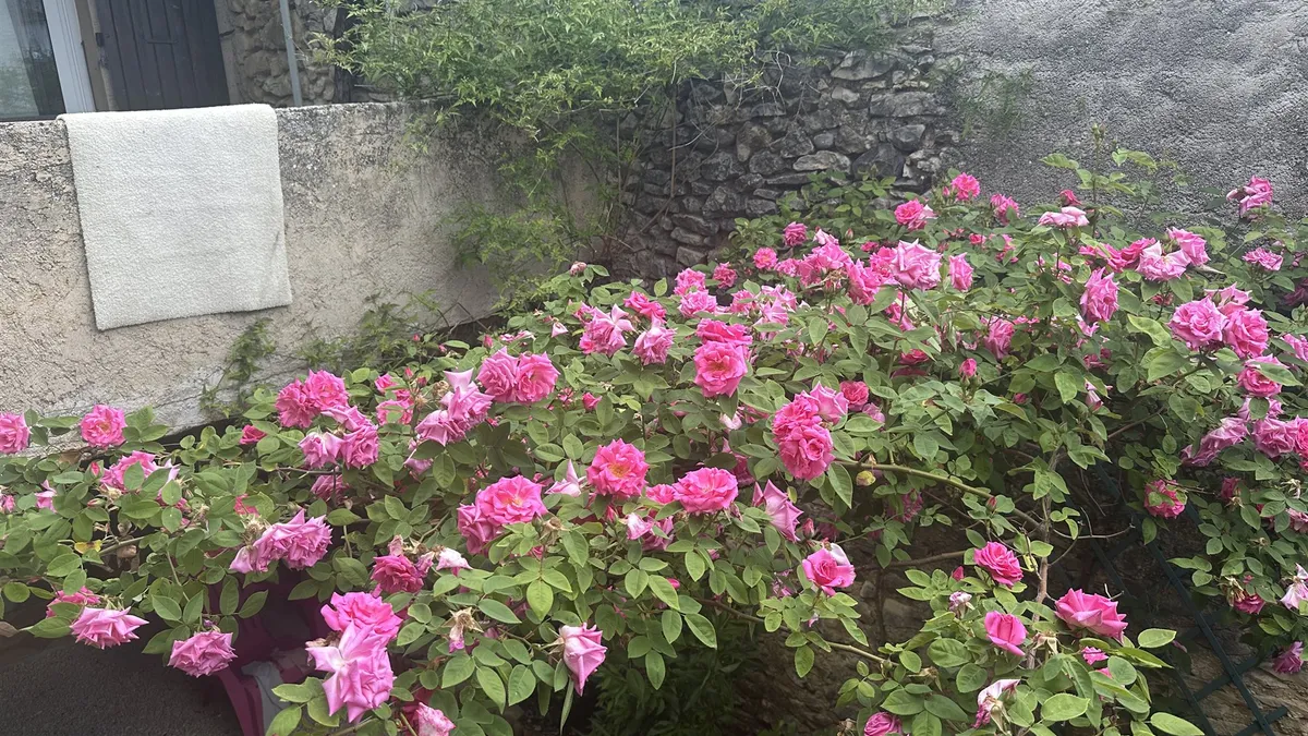 Photo 6
