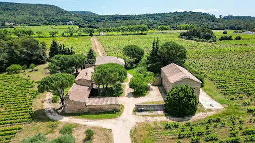 Vignoble 900 m²