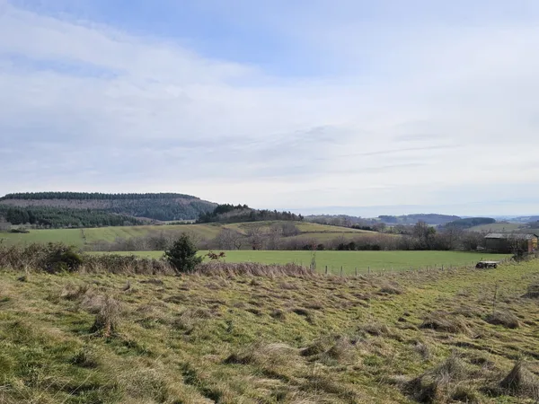 CHERIER - MAGNIFIQUE TERRAIN CONSTRUCTIBLE D'ENVIRON 7000 M2 VUE IMPRENABLE