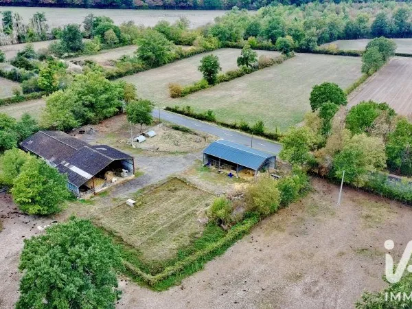 Terrain 31145 m²