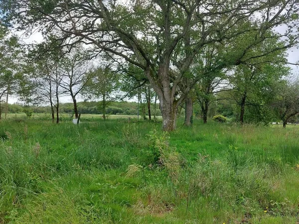 Terrain 700 m²