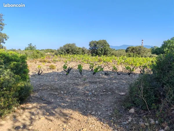 Terrain de loisirs proche Baho / st Esteve