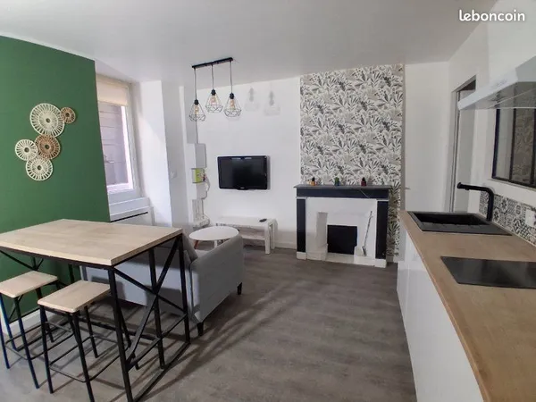 T2 meublé 30 m² - Hypercentre d'Annonay - Proche IFSI et hôpital