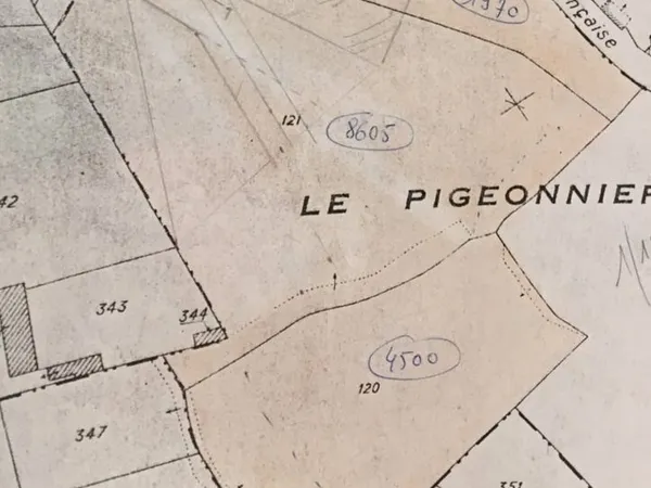 🌳 À VENDRE - Terrain de 15 000 m² à Concots (Lot)