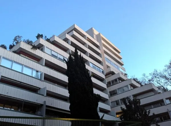 Bureau 447 m²