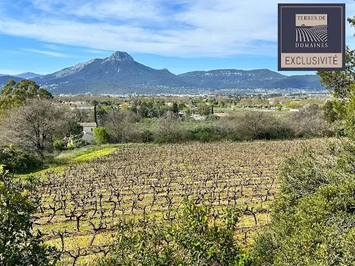 Vignoble 180000 m²