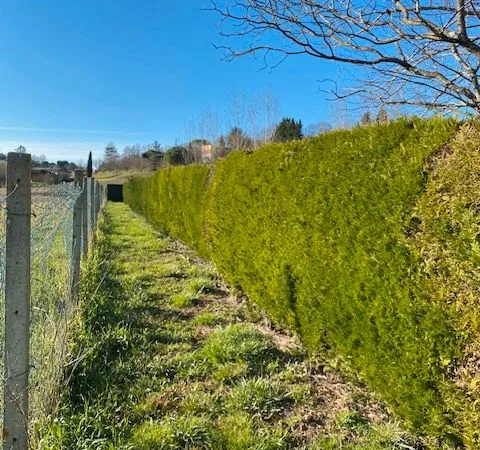 Terrain avec CU