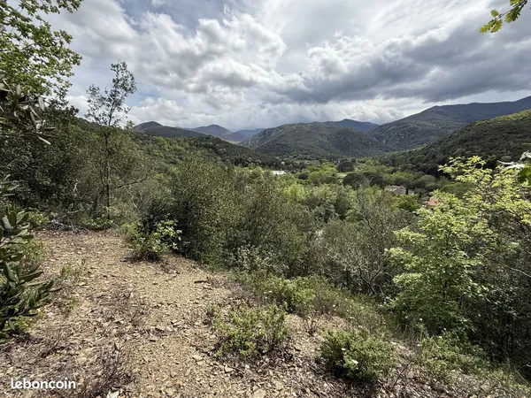 Terrain 5780 m² Reynès