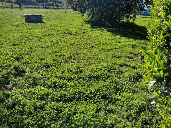 Terrain constructible