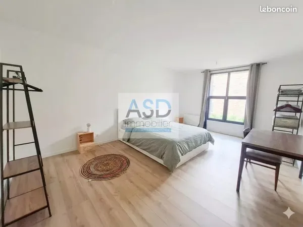 Loft 1 pièce 25 m²