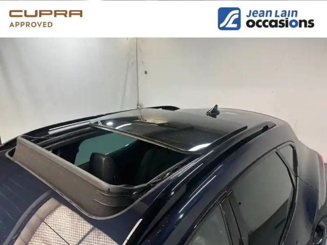 Cupra Formentor 2.0 tdi 150 ch dsg7 4drive — photo 21