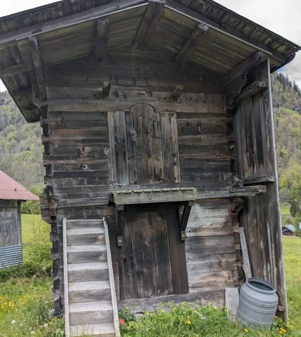 Photo 1