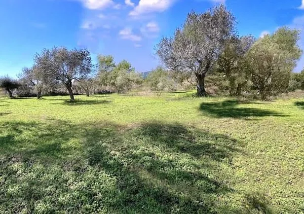 Terrain à bâtir 31000 m²