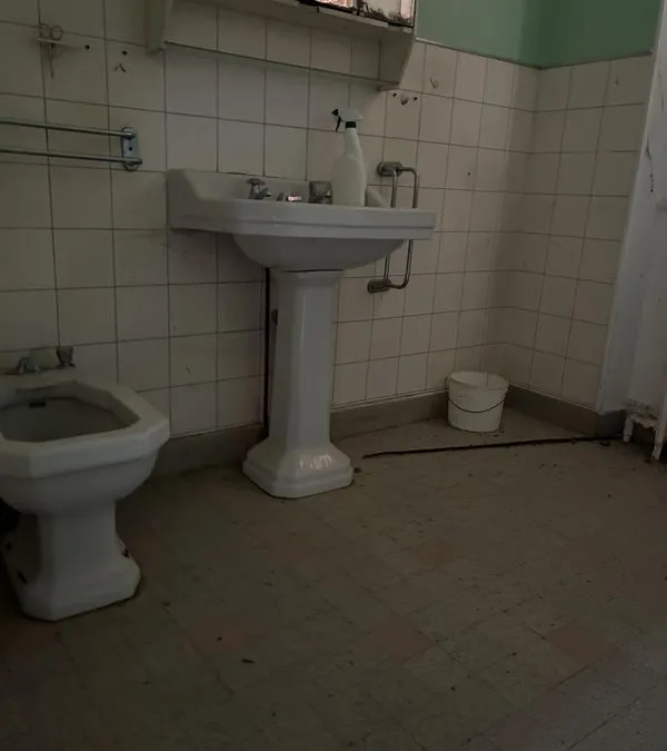 Photo 5