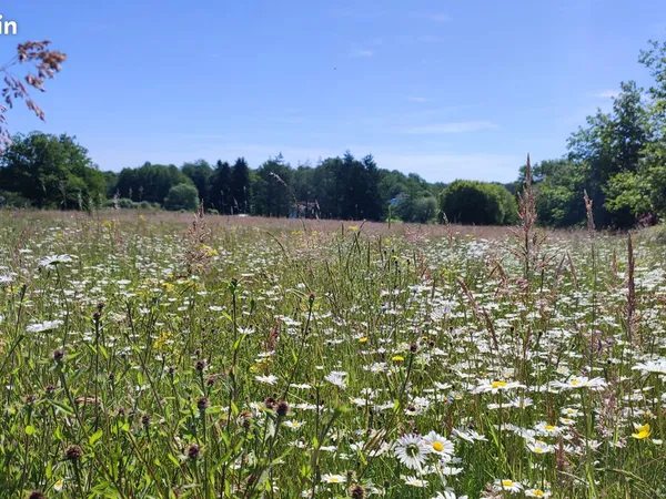 Terrain constructible à Piégut-Pluviers - 2000 m²