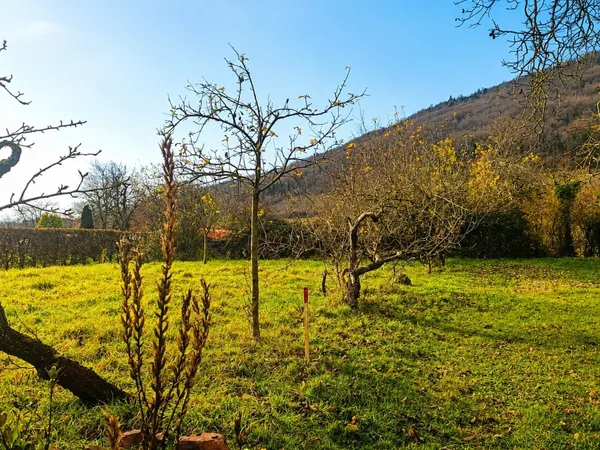 Terrain 617 m²