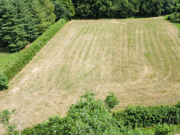 Terrain Saint Vincent En Bresse de 4237m2