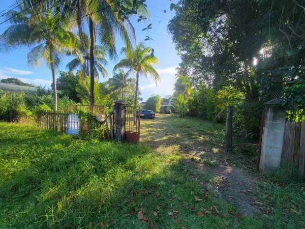 Terrain 1702 m²