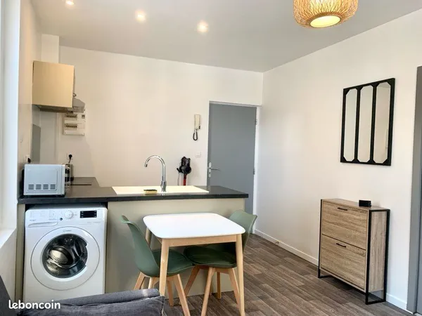 Superbe appartement meublé - Centre ville
