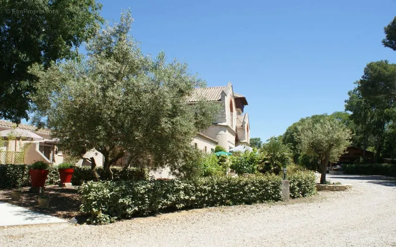 Photo 8