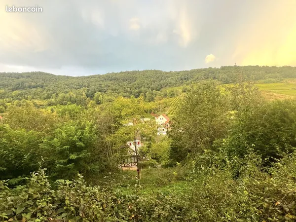 Terrain 453 m² Andlau