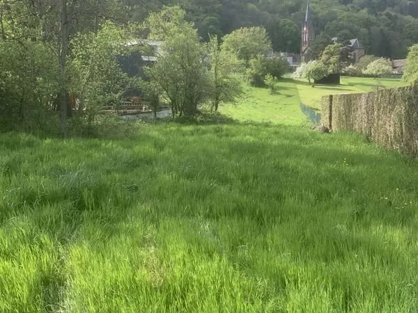 Terrain 1900 m² Reinhardsmunster