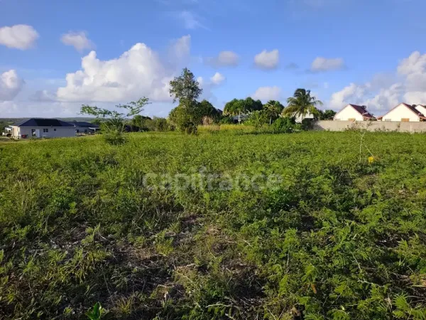 Terrain 500 m²