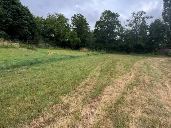 Terrain 1000 m²