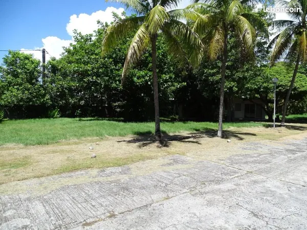 Terrain 7157 m² Sainte-Anne