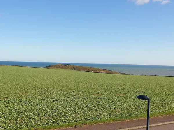Maison Vue Mer à Veulettes-Sur-Mer