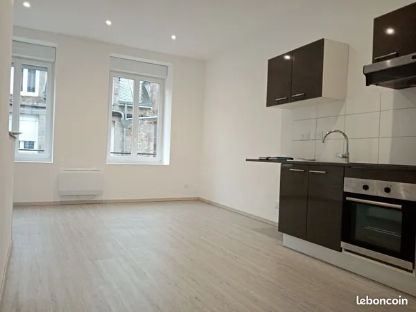 En centre-ville - Appartement Duplex 3 pièces entièrement refait à neuf avec cuisine équipée et gren