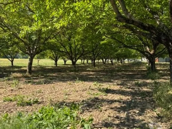 Terrain constructible 4213m2