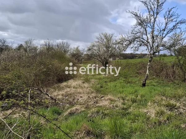 Terrain 1810 m²