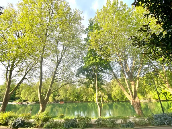 Vends maison 167m² Le Perreux-sur-Marne