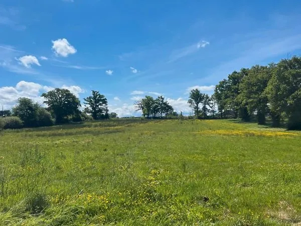 Terrain 12 100 m² avec permis accordé - Orsennes 36190